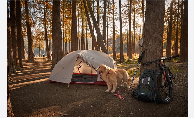 camping tent