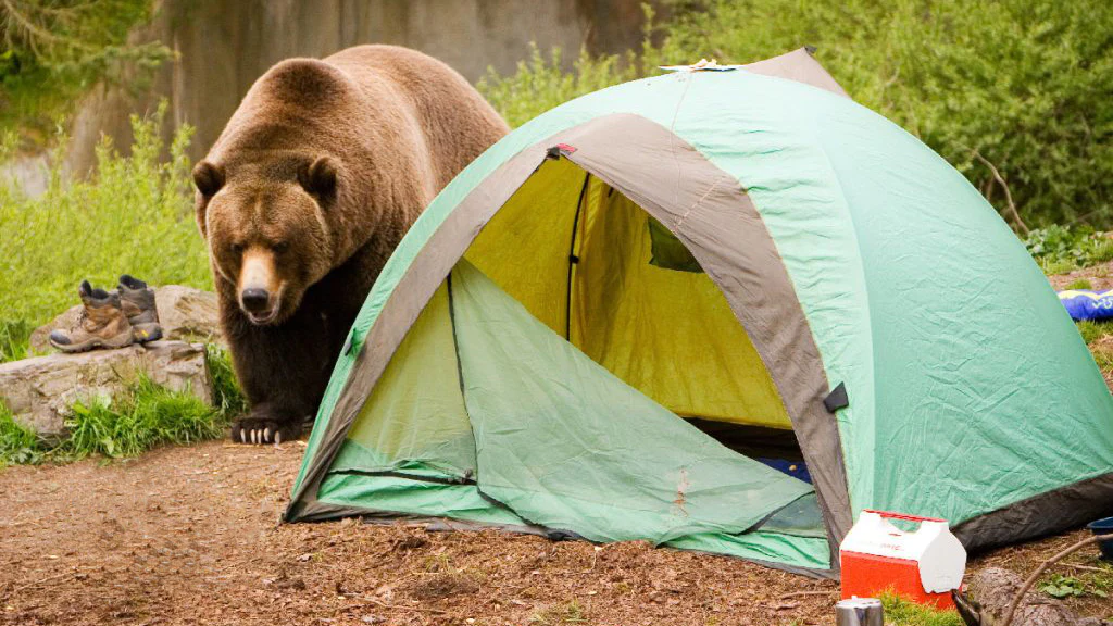 Camping tent