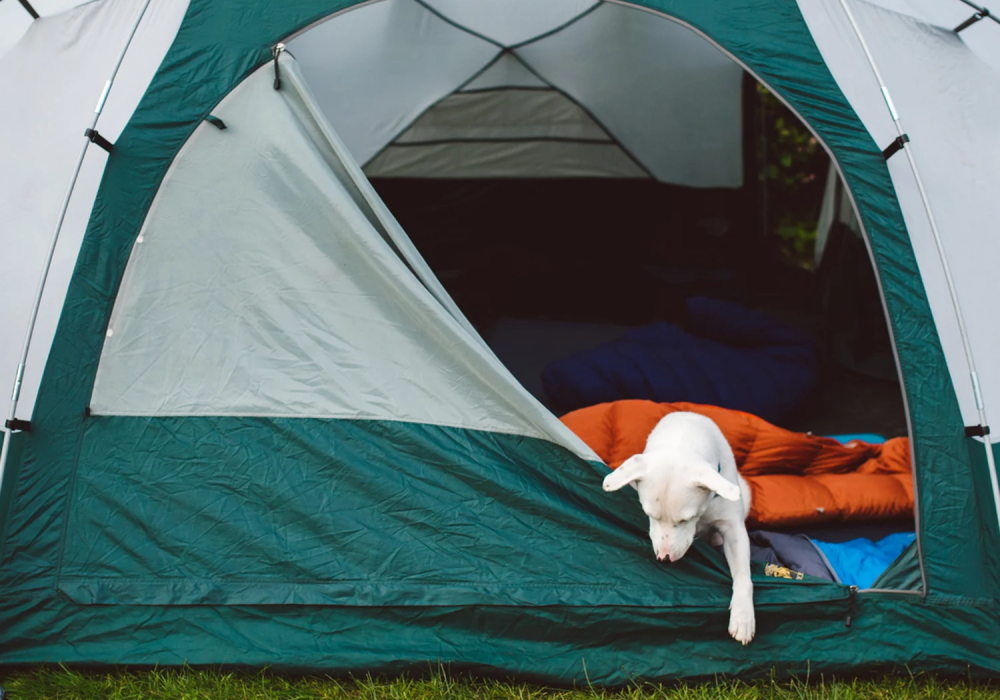 Camping tent